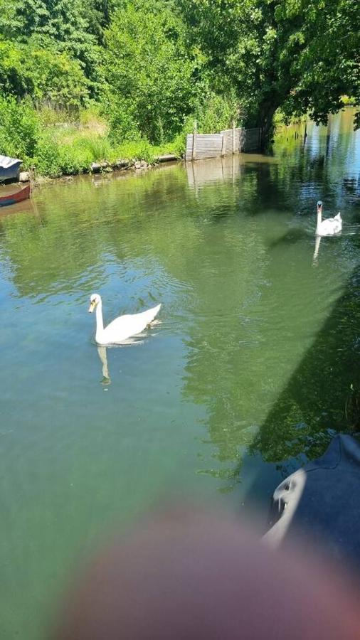 Hotel Au Fils De L'Eau Strasburg Zewnętrze zdjęcie