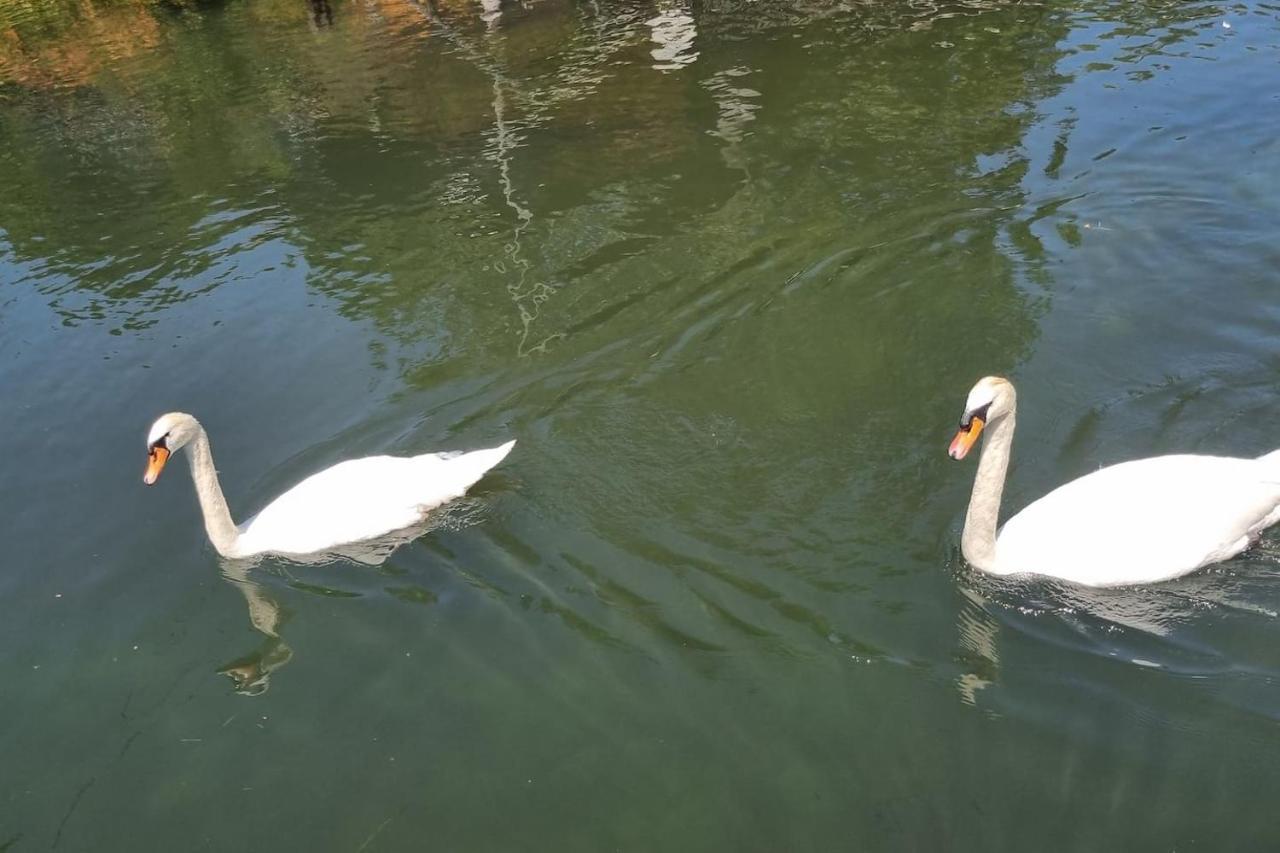 Hotel Au Fils De L'Eau Strasburg Zewnętrze zdjęcie
